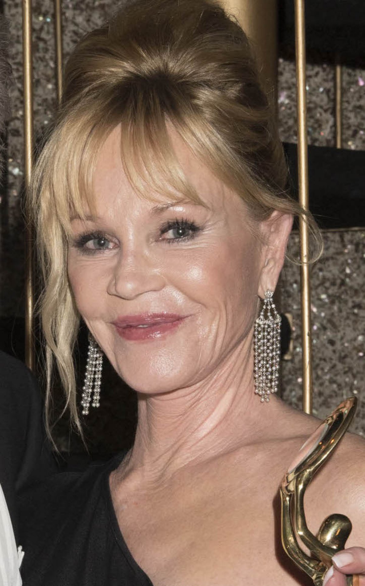 Designer Niklas J. Palm sues Melanie Griffith over Golden Globes gown - Reality TV World1200 x 1925