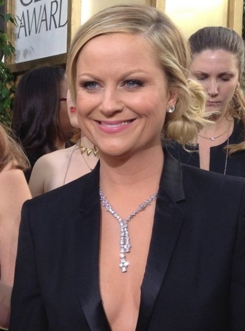 Amy Poehler