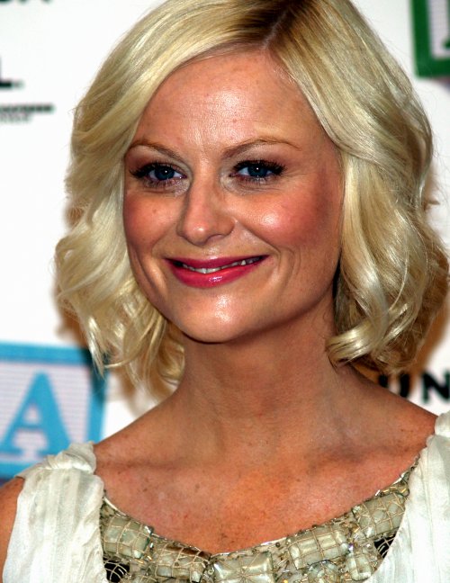Amy Poehler