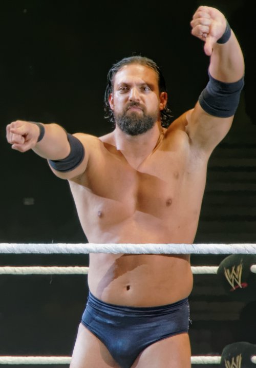 Damien Sandow