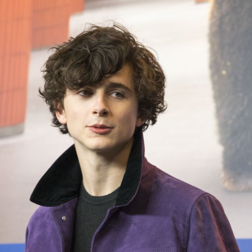 Timothee Chalamet
