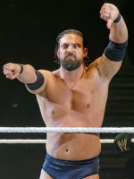 Damien Sandow