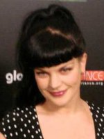 Pauley Perrette